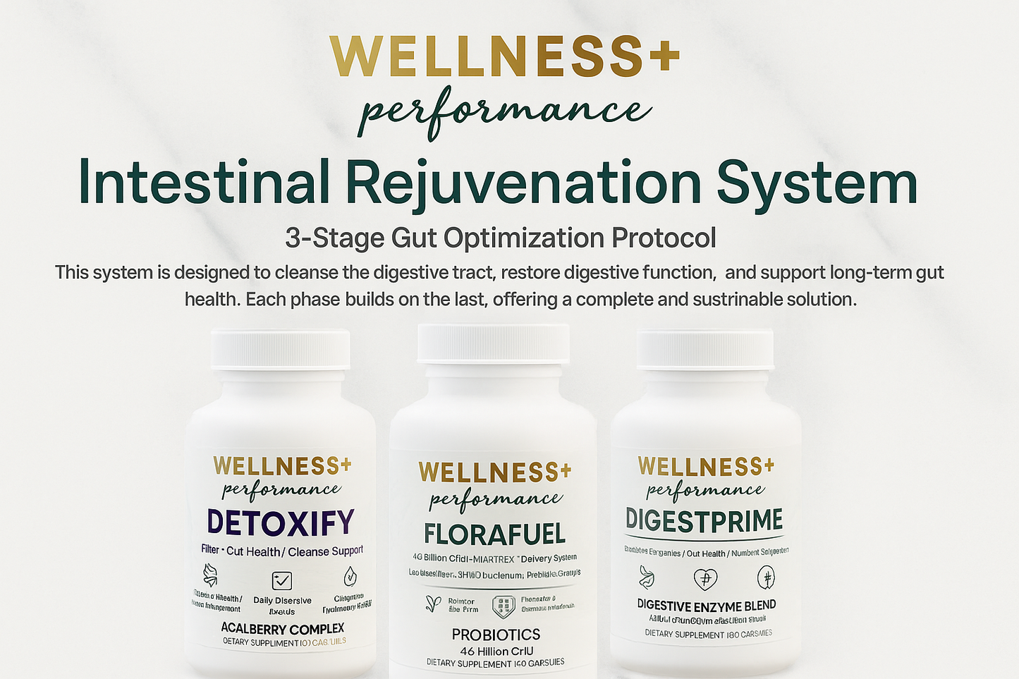 Intestine Rejuvenation System