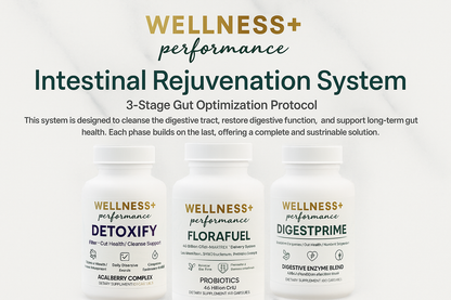 Intestine Rejuvenation System